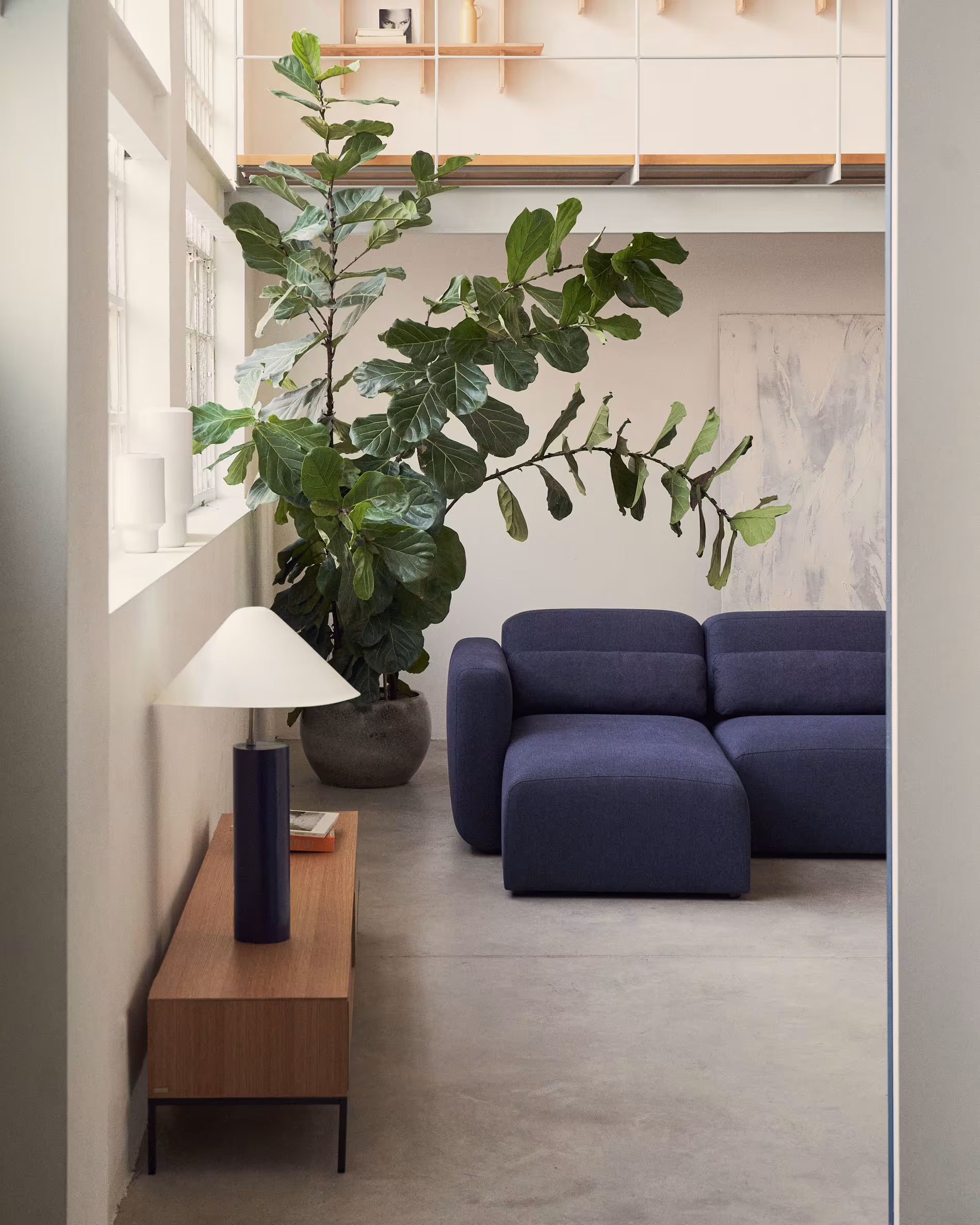 Modern living room with a blue sofa, wooden side table, and large plant.